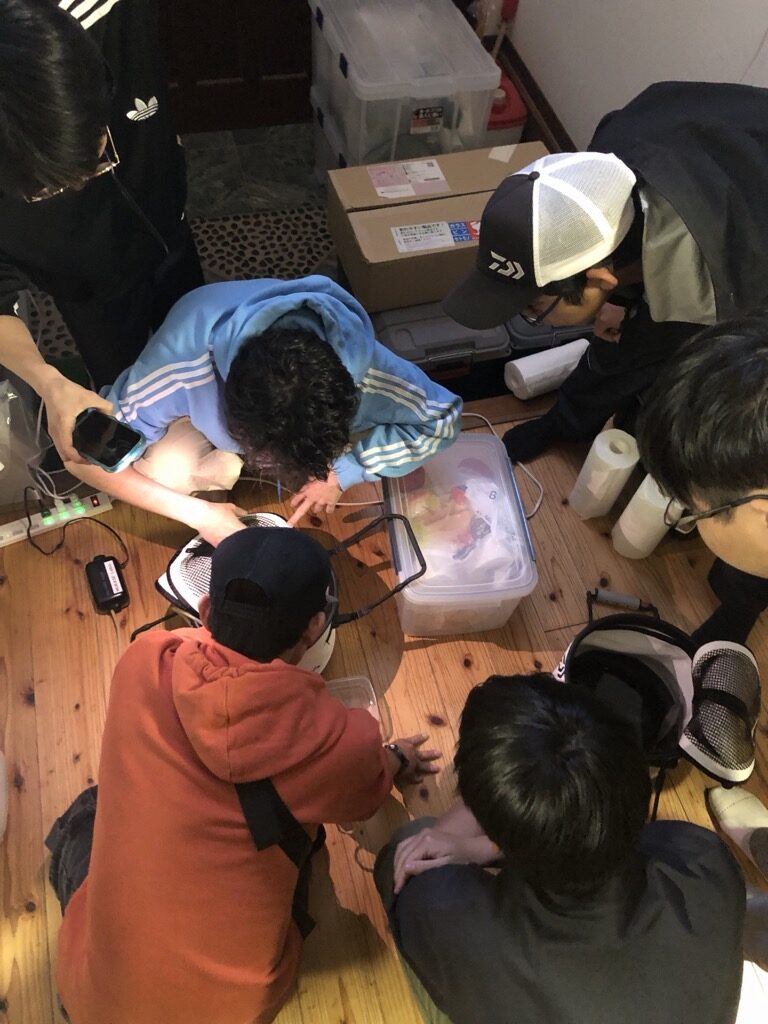 標本づくりの様子