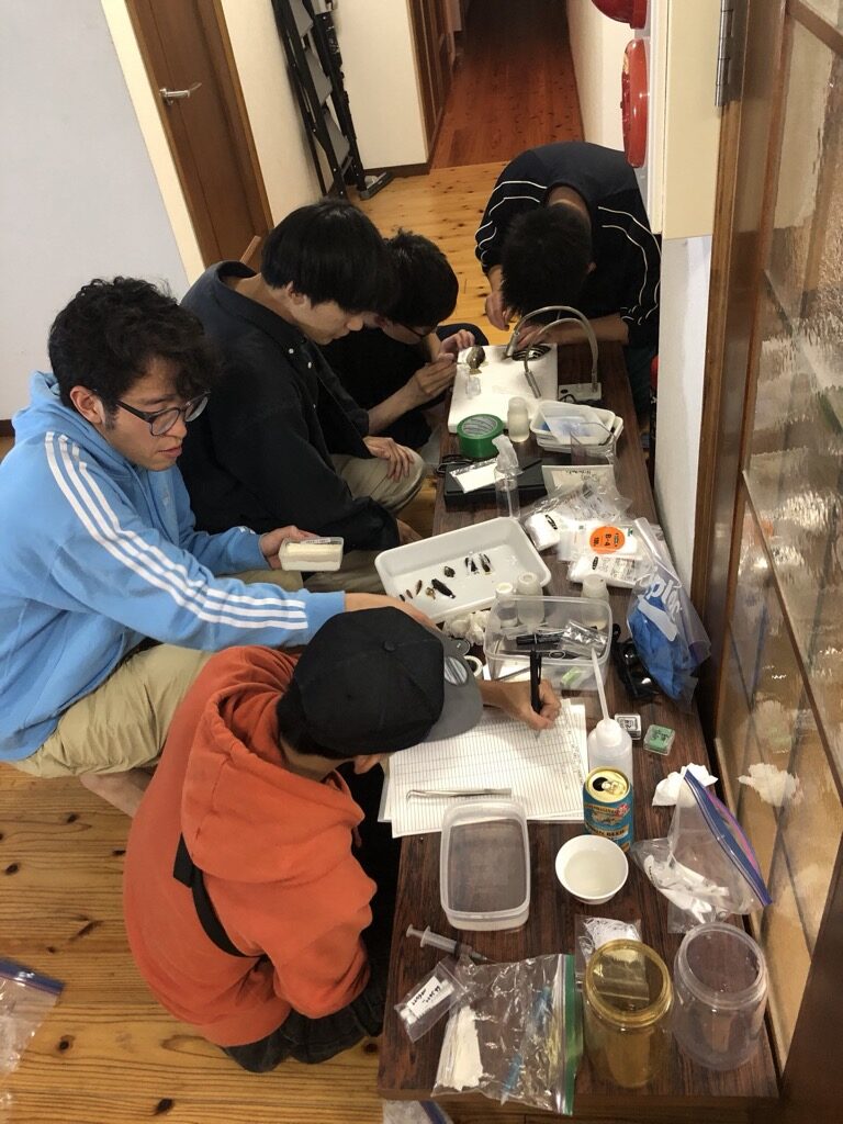 標本づくりの作業風景